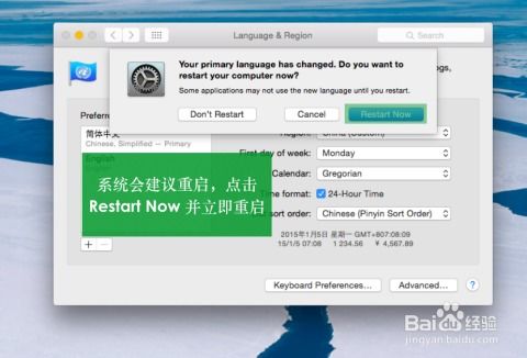 电脑软件 现代数字生活的核心引擎